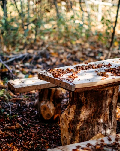 Rustikaler Holztisch mit Bank im Wald, bedeckt mit Herbstlaub – ein natürlicher Rastplatz im Naturpark Habichtswald.