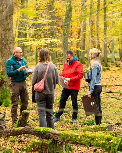 Vier Personen stehen in einem herbstlichen Wald mit gelb gefärbten Blättern. Zwei Männer und zwei Frauen unterhalten sich, während einer von ihnen ein Buch oder eine Karte zeigt. Sie tragen Outdoor-Kleidung, Rucksäcke und Klemmbretter. Moosbewachsene Baumstämme und herabgefallenes Laub bedecken den Waldboden.