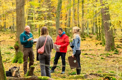 Vier Personen stehen in einem herbstlichen Wald mit gelb gefärbten Blättern. Zwei Männer und zwei Frauen unterhalten sich, während einer von ihnen ein Buch oder eine Karte zeigt. Sie tragen Outdoor-Kleidung, Rucksäcke und Klemmbretter. Moosbewachsene Baumstämme und herabgefallenes Laub bedecken den Waldboden.