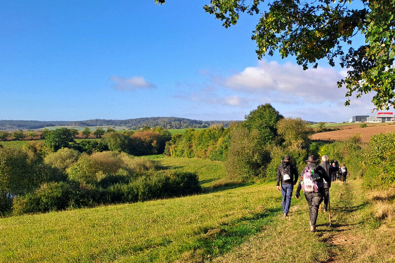 Wandergruppe geht bei Sonnenschein über einen grasbewachsenen Weg durch hügelige Landschaft mit Feldern, Bäumen und weitem Blick.
