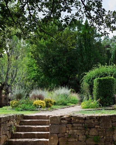Naturstein-Treppe führt in einen Garten, umgeben von Sträuchern und hohen Bäumen, ein ruhiger Ort zum Verweilen.