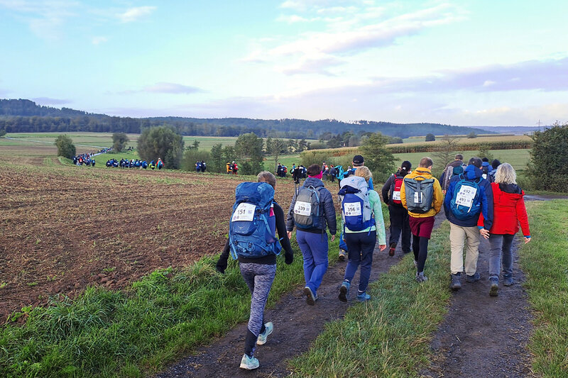 Wandergruppe mit Startnummern läuft über einen Feldweg durch eine weite, grüne Landschaft unter blauem Himmel.
