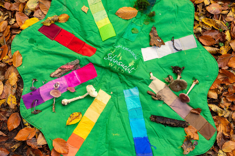 Ein grünes Tuch mit farbigen Stoffstreifen in Regenbogenfarben liegt auf herbstlichem Waldboden. Darauf sind Naturmaterialien wie Blätter, Rinde, Pilze und Zweige den passenden Farbbereichen zugeordnet. In der Mitte steht „Waldbaden Sehnsucht Wald“.