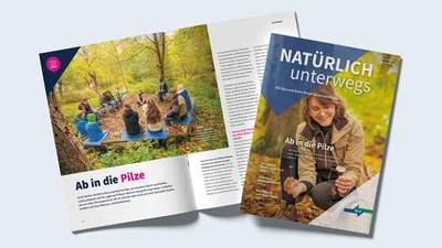 Herbst 4.2026