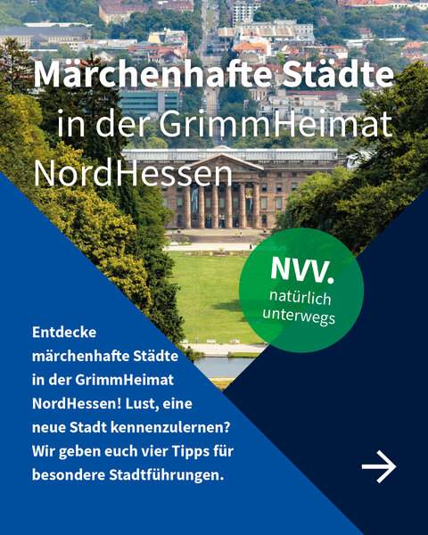 Blick vom Herkules-Denkmal über die Wilhelmshöher Allee auf das Schloss Wilhelmshöhe in Kassel – Titeltext lädt zu Stadtführungen in Nordhessen ein.