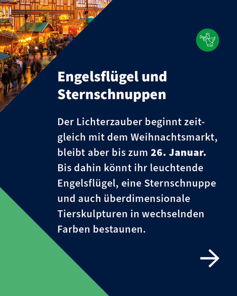 Text über besondere Lichtinstallationen in Hann. Münden wie Engelsflügel, Sternschnuppen und Tierskulpturen, die bis Ende Januar leuchten.