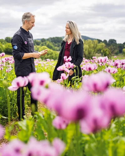 Ein Mann und eine Frau stehen im Gespräch inmitten eines blühenden Mohnfeldes mit rosa-violetten Mohnblumen, im Hintergrund grüne Hügel und bewölkter Himmel.