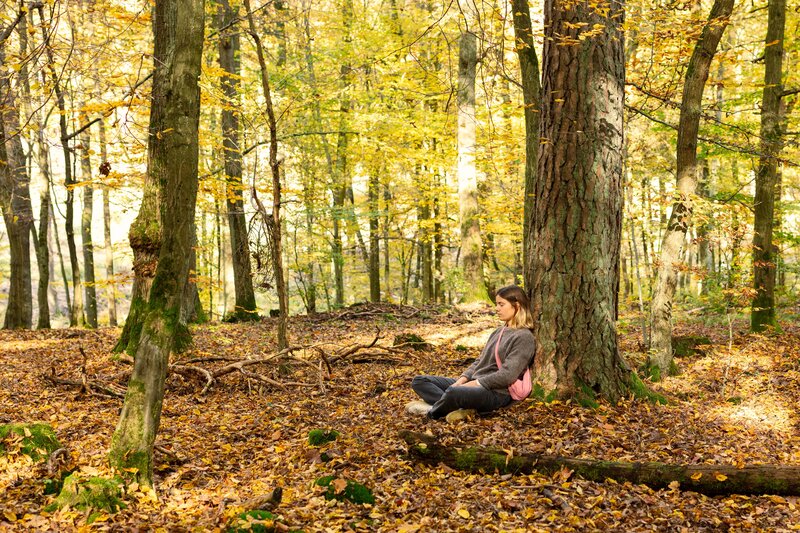 Frau sitzt entspannt mit geschlossenen Augen an einen Baum gelehnt in einem herbstlichen Wald voller gelber und brauner Blätter.