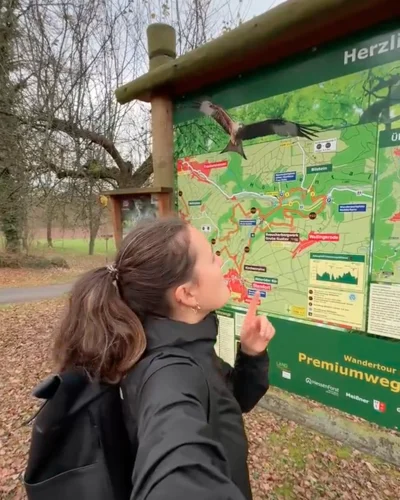 Eine Frau mit dunkler Jacke und Rucksack steht vor einer großen grünen Informationstafel in einem Park oder Naturgebiet. Sie zeigt mit dem Finger auf die Karte und blickt konzentriert darauf. Im Hintergrund sind kahle Bäume und ein Laubboden zu sehen.